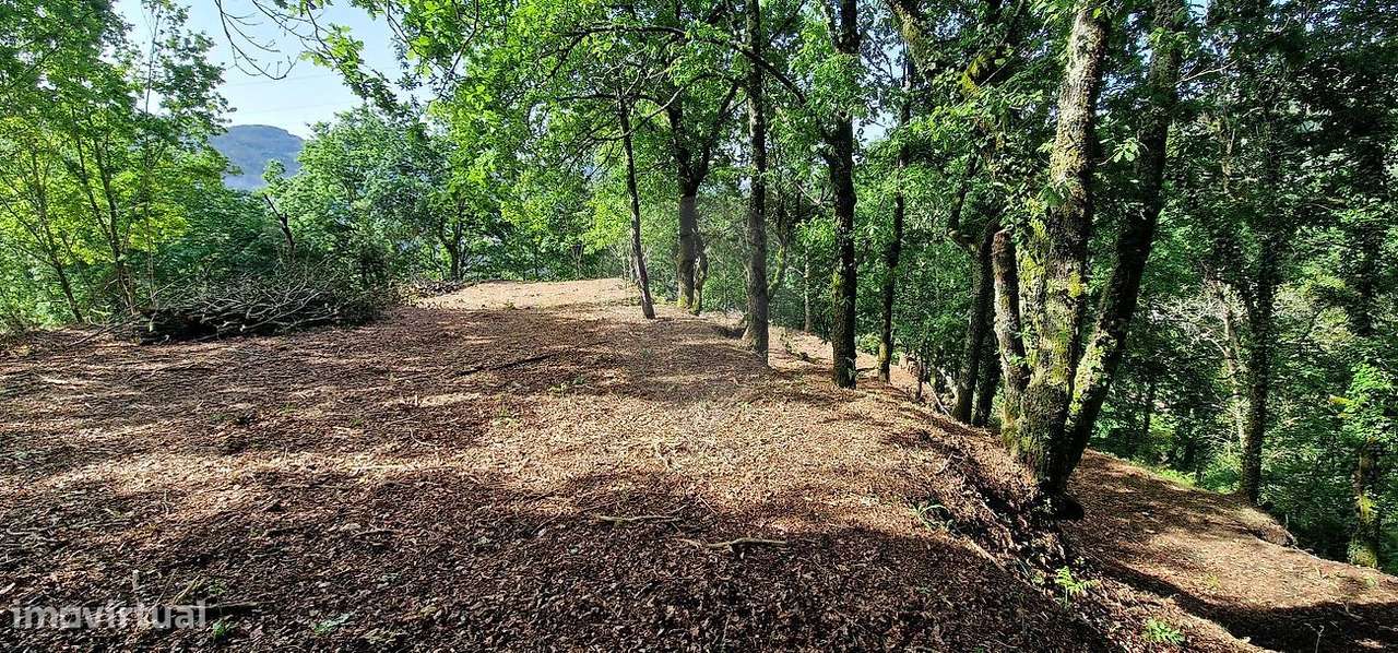 Terreno  para venda - Grande imagem: 2/8