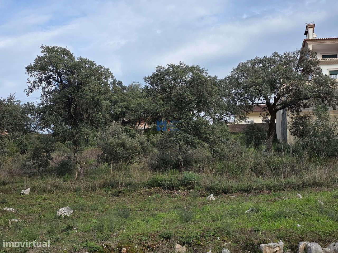 Lotes de terreno em Minde-5