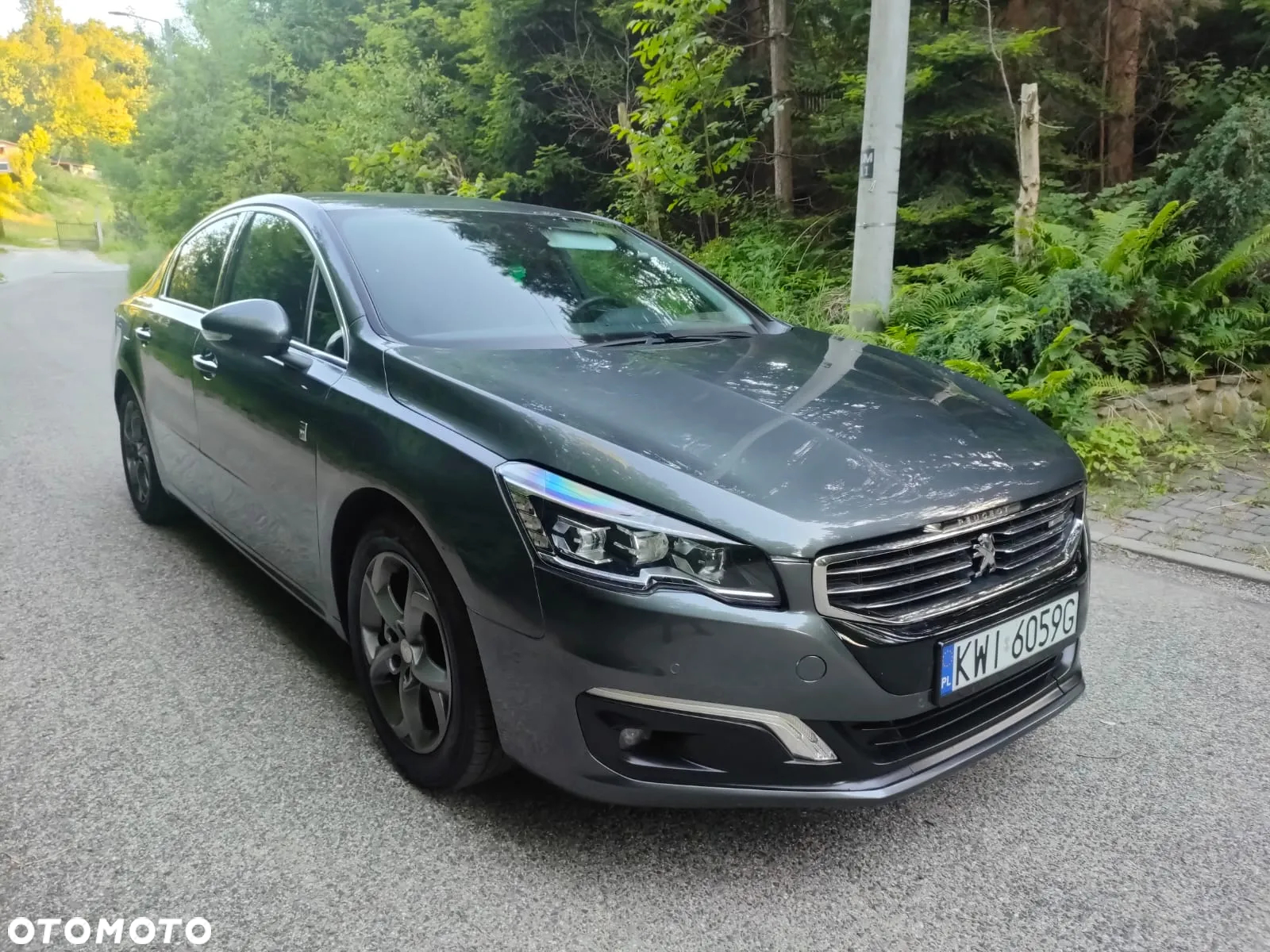 Peugeot 508 RXH Hybrid Business-Line - 14