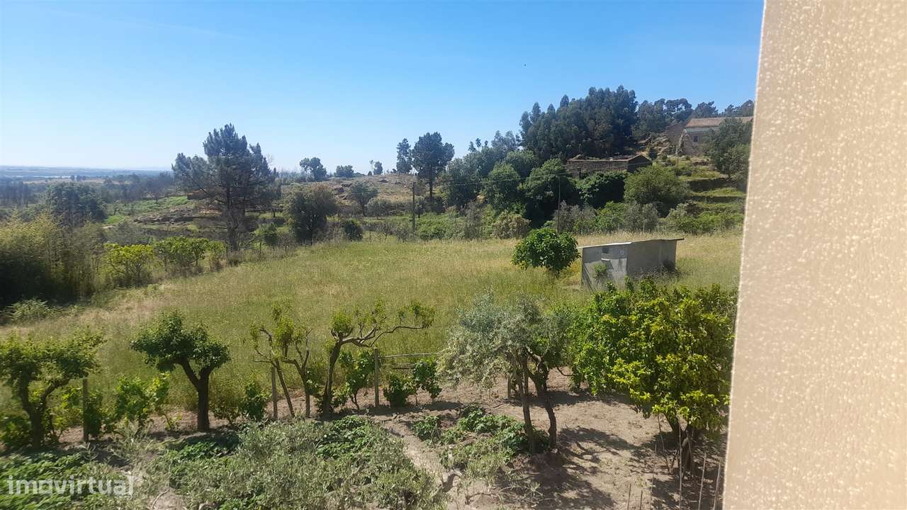 Moradia Isolada T4+1 Venda em Louriçal do Campo,Castelo Branco - Grande imagem: 5/57