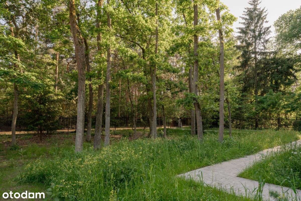 Elegancka willa w sercu sosnowego lasu - Pełny obrazek: 5/20