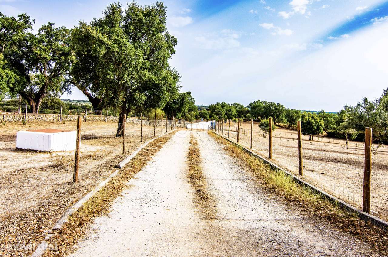ESPETACULAR MONTE ALENTEJANO DE LUXO, T4+1, JUNTO AO CRATO-PORTALEGRE - Grande imagem: 4/60