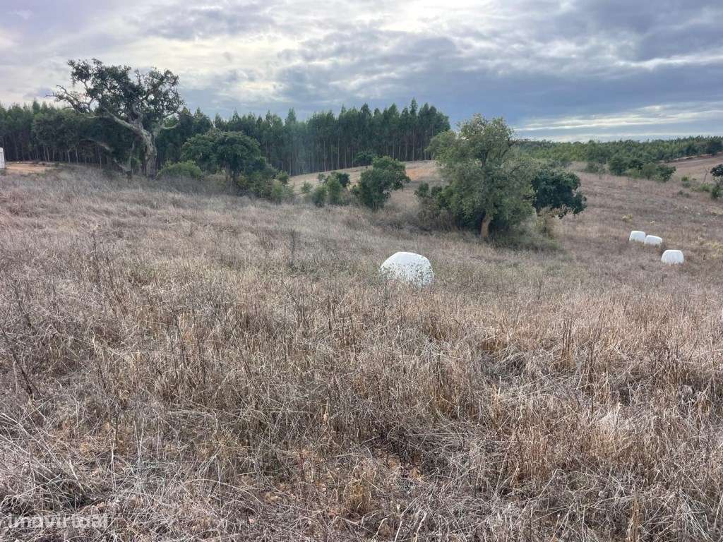 Monte Típico Alentejano para Reabilitar - Santiago do Cacém-12