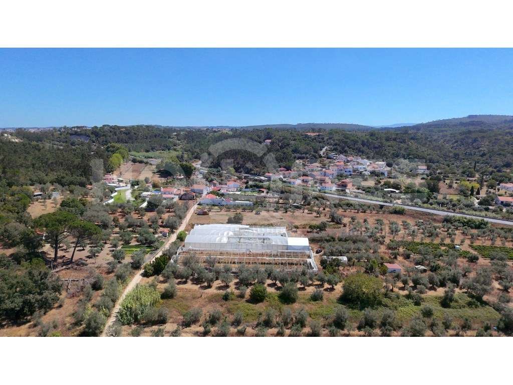 Terreno Agrícola com Estufas Preparadas para Produção em Hidroponia...-15