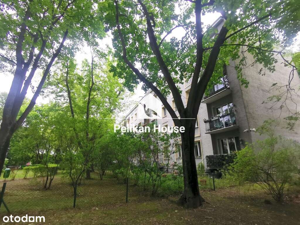 Duży pokój i kuchnia tylko 420m od Metra Słodowiec-15