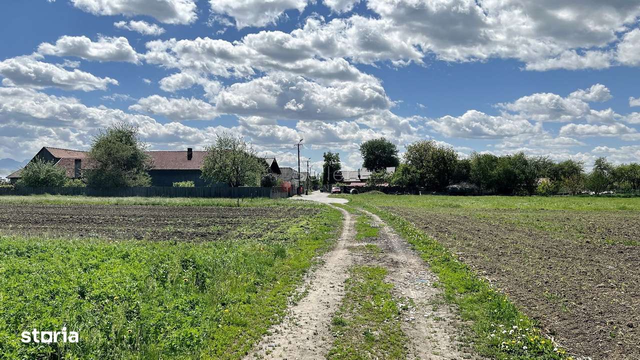 Teren intravilan Zona Metropolitana Brasov - Imagine principală: 2/13