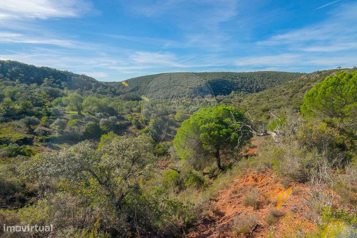 Moradia T2 para venda - Grande imagem: 4/39