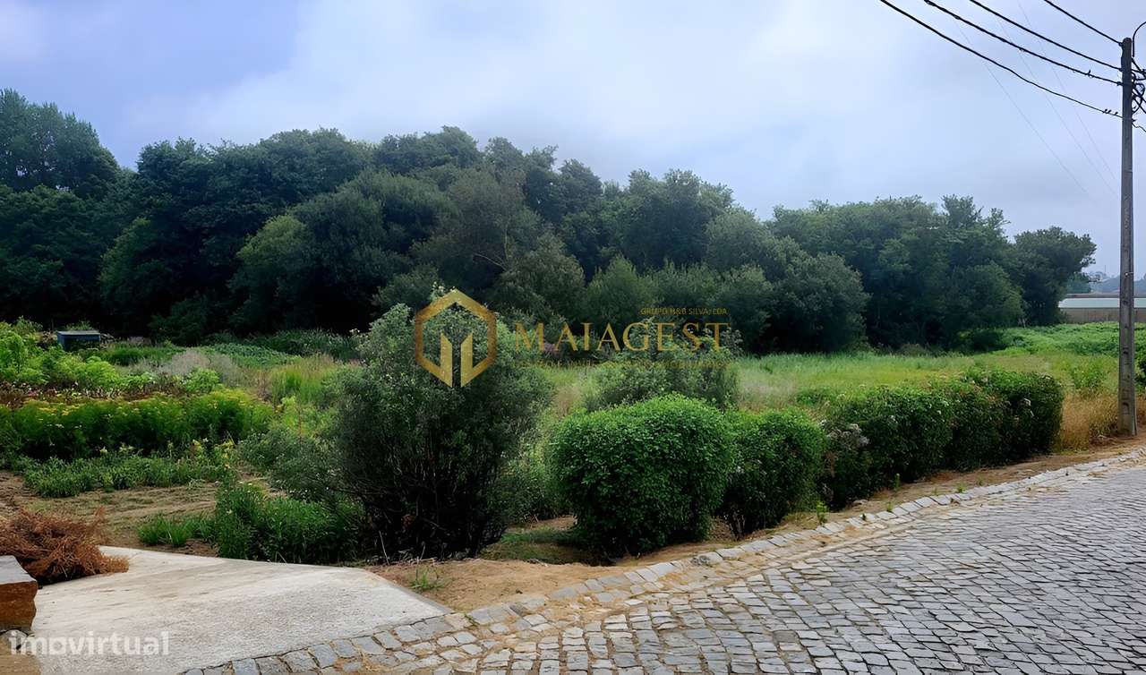 Terreno Agrícola com Capacidade Construtiva em Excelente Localização - Grande imagem: 5/8