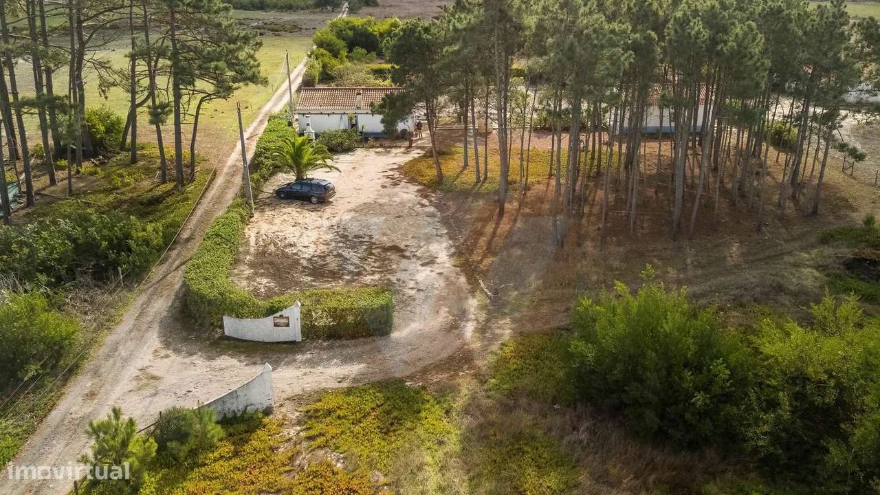 Quintinha no coração do Parque Natural com potencial de construção - Grande imagem: 5/38