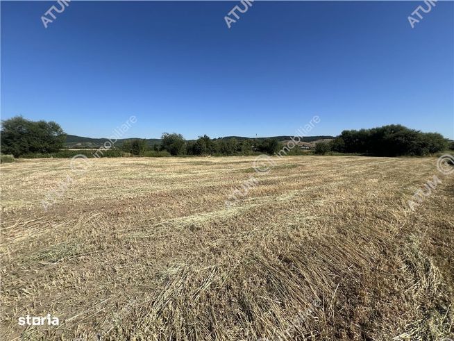Teren intravilan de 543 mp cu PUZ constructie duplex in Cristian-5