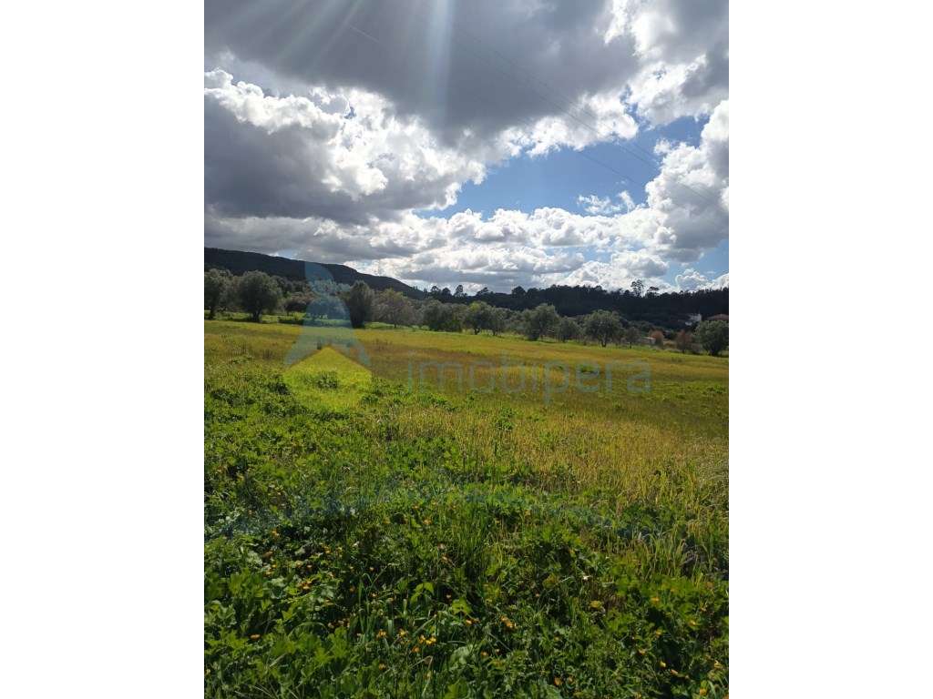 Terreno à Venda em Alte - Grande imagem: 4/6