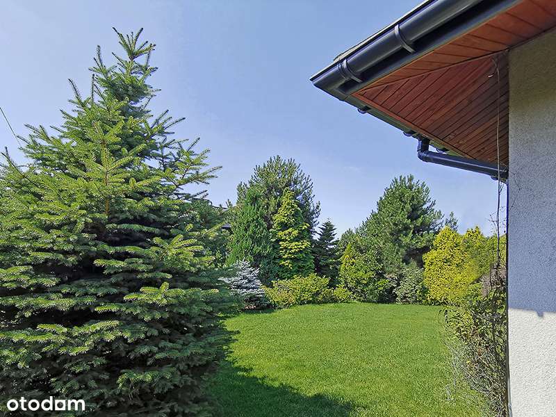 Parterowy dom blisko centrum miasta-16