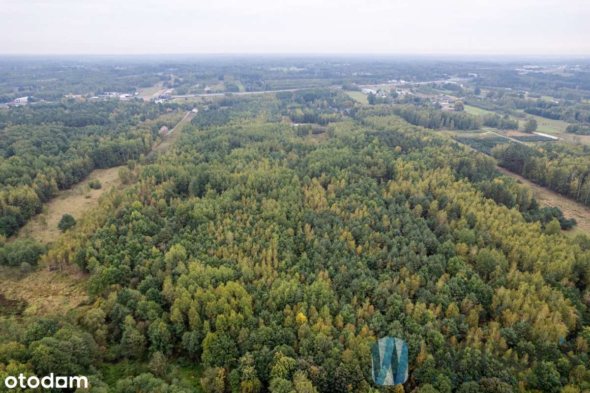 Działka inwestycyjna przy S8 Żabia Wola Warszawa - Pełny obrazek: 4/20