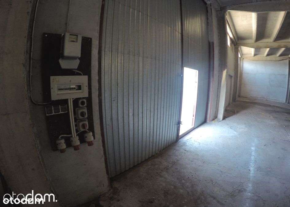 440m2 Magazyn - na terenie zamkniętym. Wieliszew - Pełny obrazek: 4/8