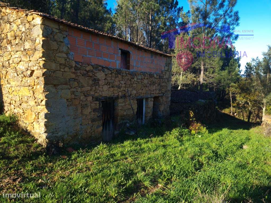 Terreno com ruínas, poço e plantação de pinheiros em Pedrógão Grande - Grande imagem: 4/52