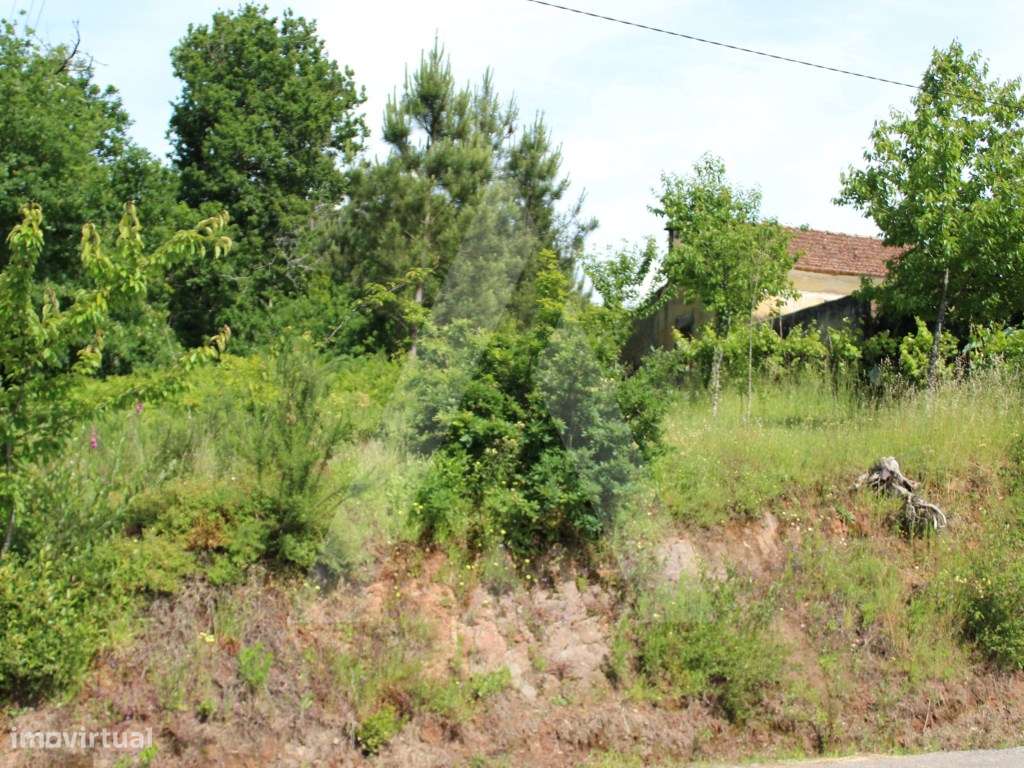 Terreno rústico com possibilidade de construção - Grande imagem: 2/21