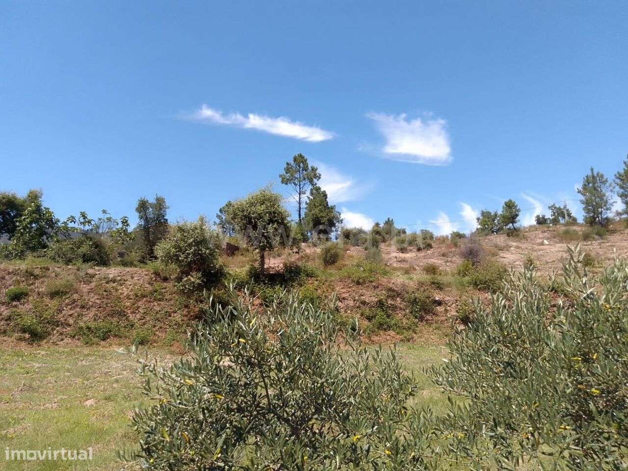 Terreno / Fundão, Vale de Prazeres e Mata da Rainha - Grande imagem: 5/8