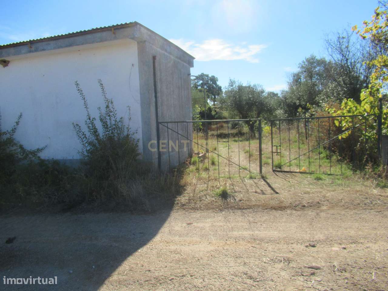 Terreno Rústico | Lousa, Castelo Branco - Grande imagem: 4/17