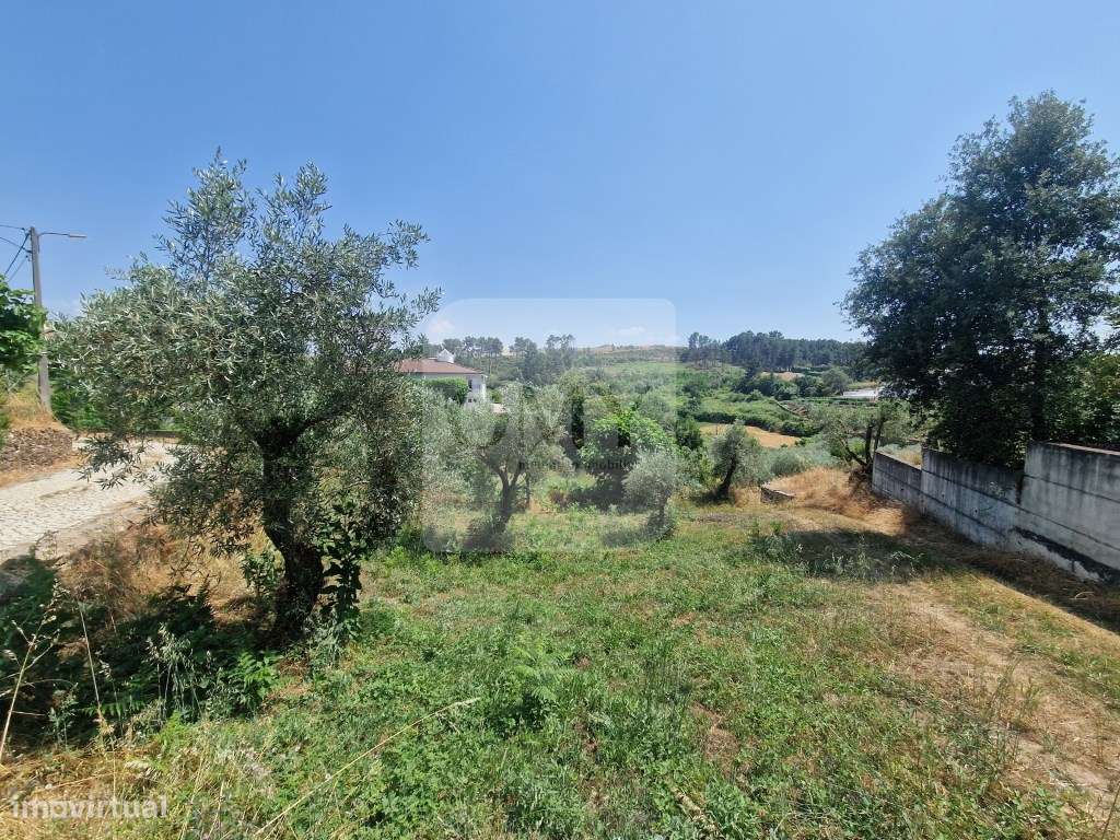 Terreno com Licença de Construção para Moradia Unifamiliar - Grande imagem: 5/21