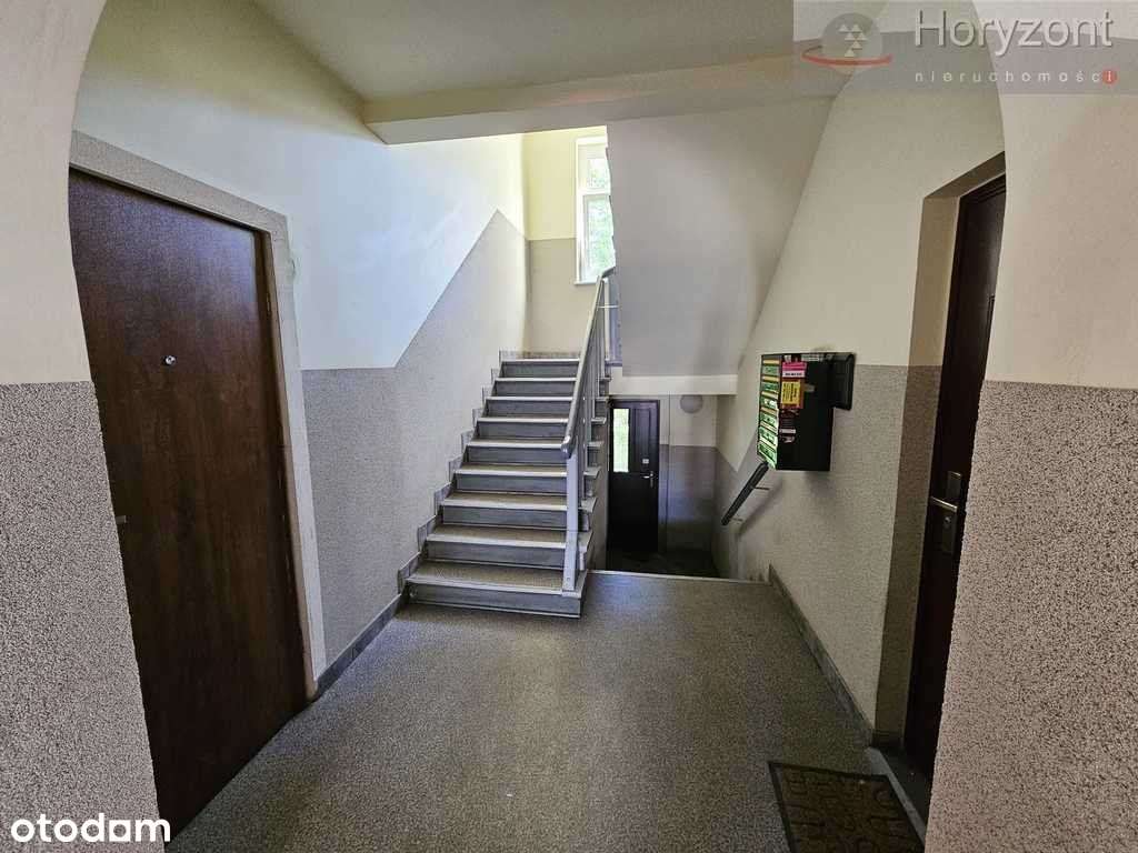 3pok. 56m2 - Parter na biuro/gabinety-12