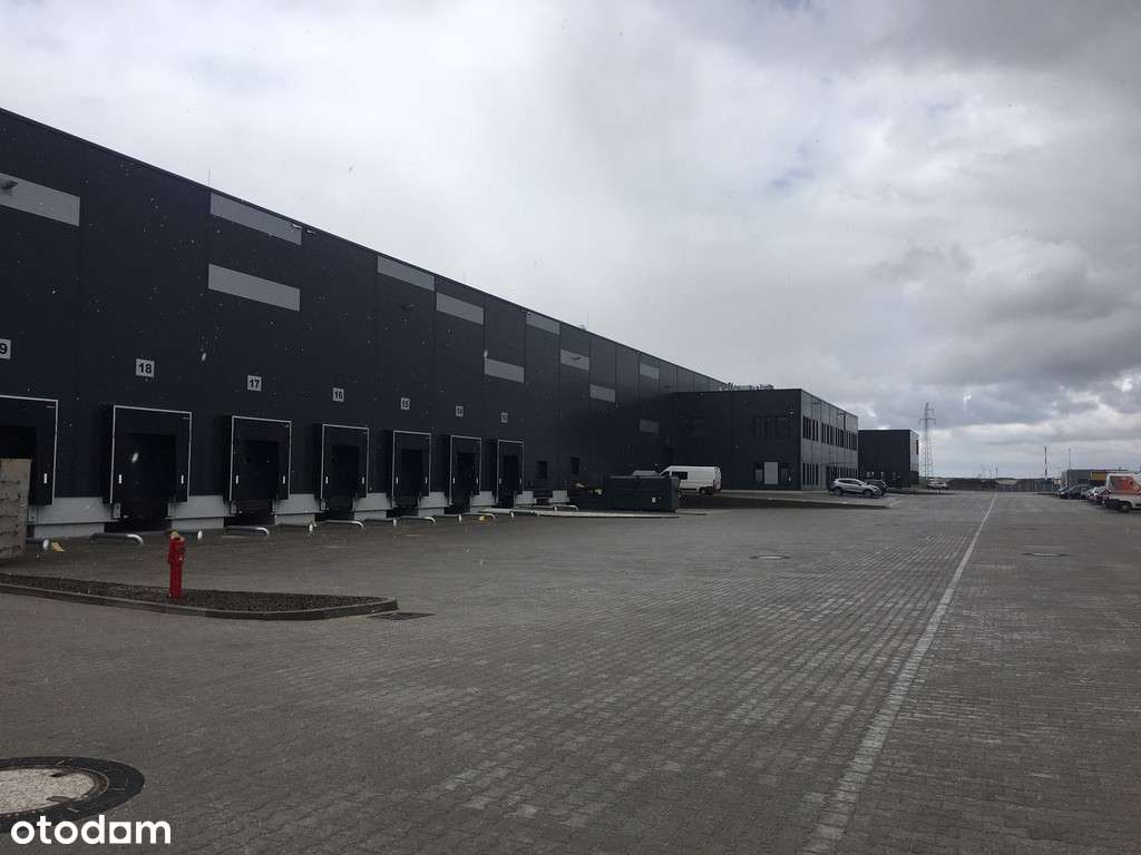 Nowoczesna hala magazynowa dostępna OD ZARAZ - Pełny obrazek: 5/6