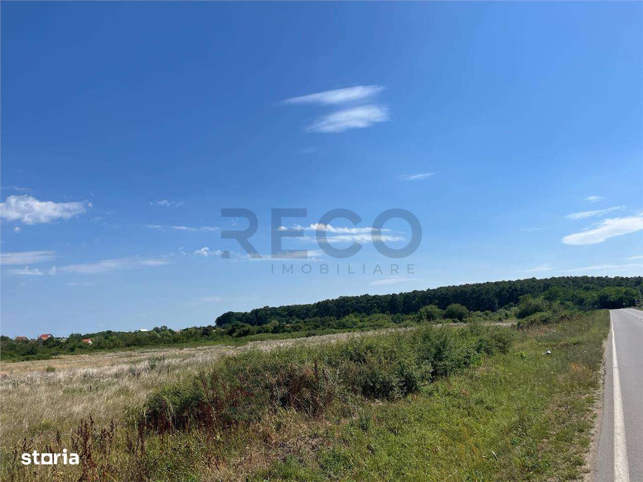 RECO Teren intravilan 3,9 ha -Les - Imagine principală: 2/5