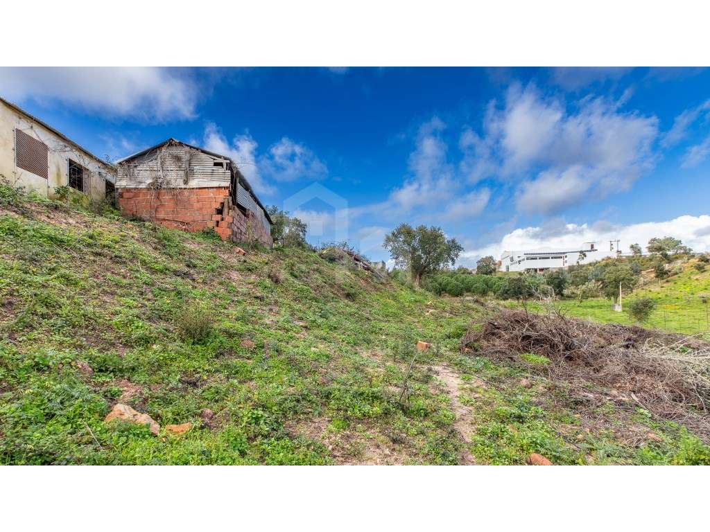 Vende Armazém - Ericeira 3 km, A Casa das Casas - Grande imagem: 4/13