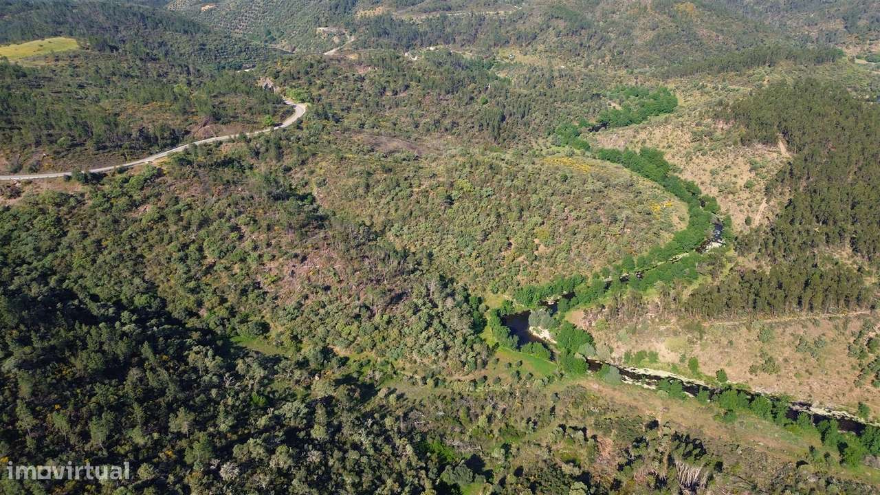 Terreno Rústico  Venda em Sarzedas,Castelo Branco-15