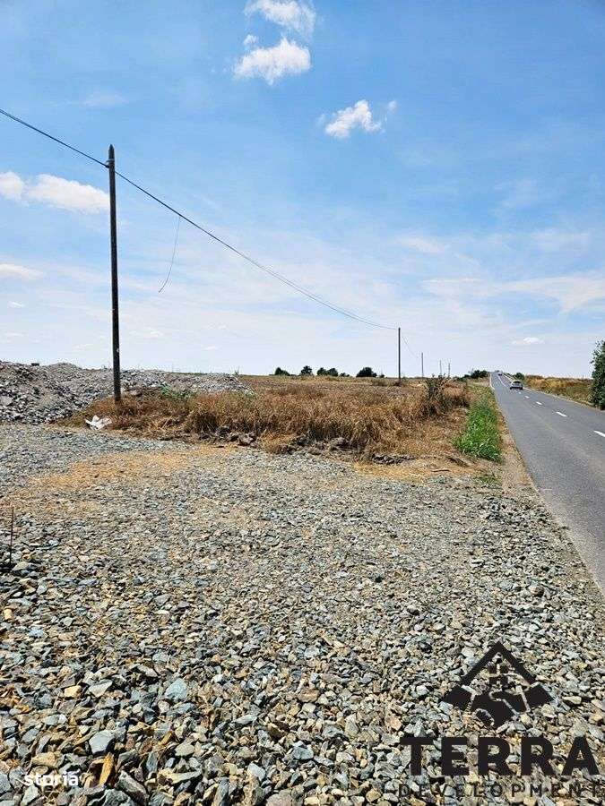 Ovidiu - Terenuri Intravilane - Imagine principală: 2/4