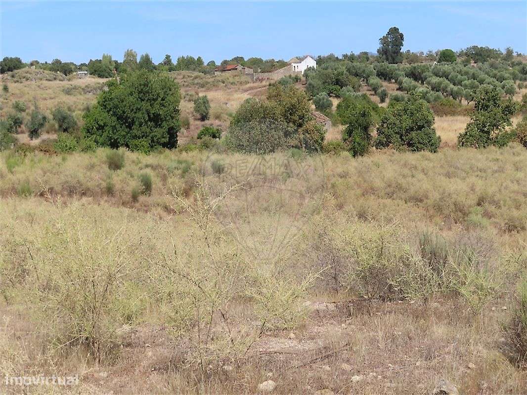 Quinta  para venda - Grande imagem: 4/50