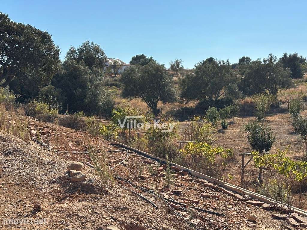 Terreno com viabilidade para construir segundo o PDM, até 700 m2 Od... - Grande imagem: 2/15