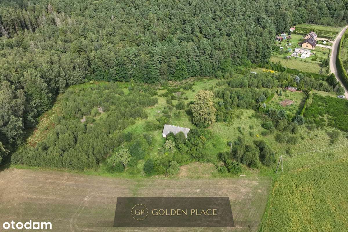 Ostatnia działka - Pełny obrazek: 4/20