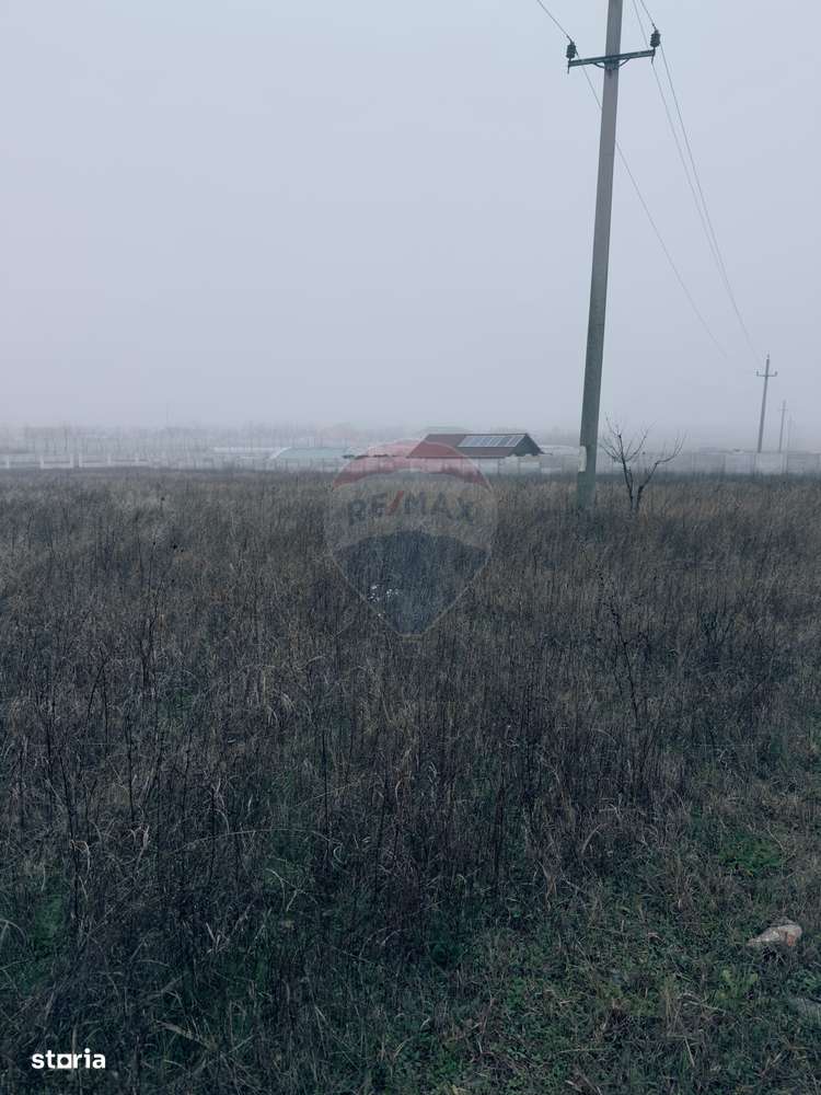 Teren 5,000mp Caracal, parcelabil, zona in dezvoltare-7