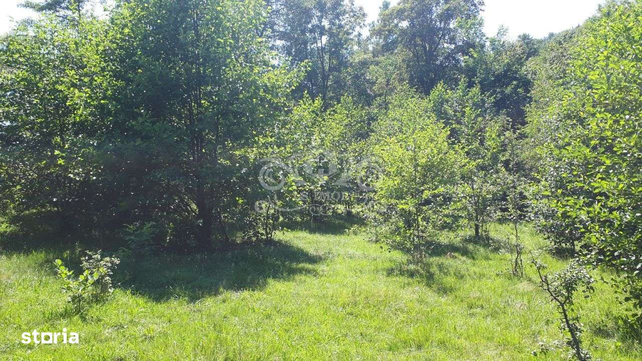 Teren cu livada de vanzare in Albesti de Muscel - Imagine principală: 4/19