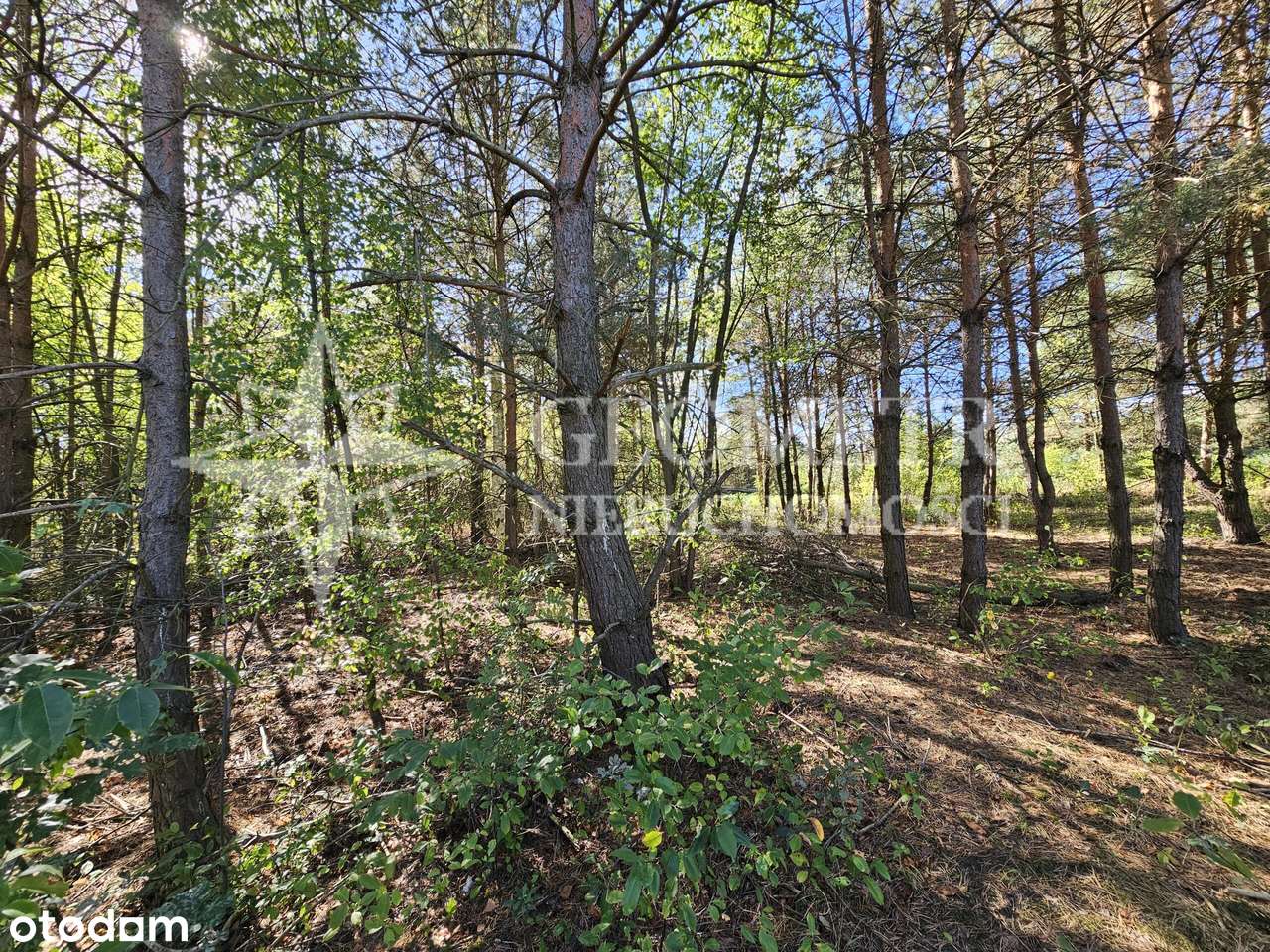 nowe osiedle, 150m od lasu - Pełny obrazek: 5/7