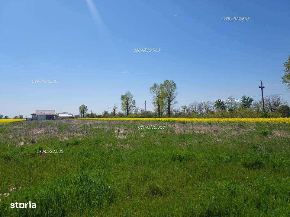 Teren intravilan 500 mp aproape de Bucuresti, Berceni, Ilfov - Imagine principală: 4/8