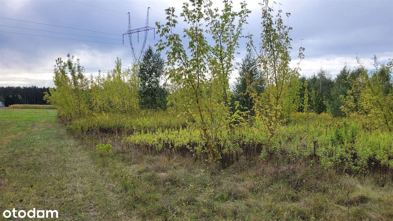 działka siedliskowa okolice Sochaczewa-5