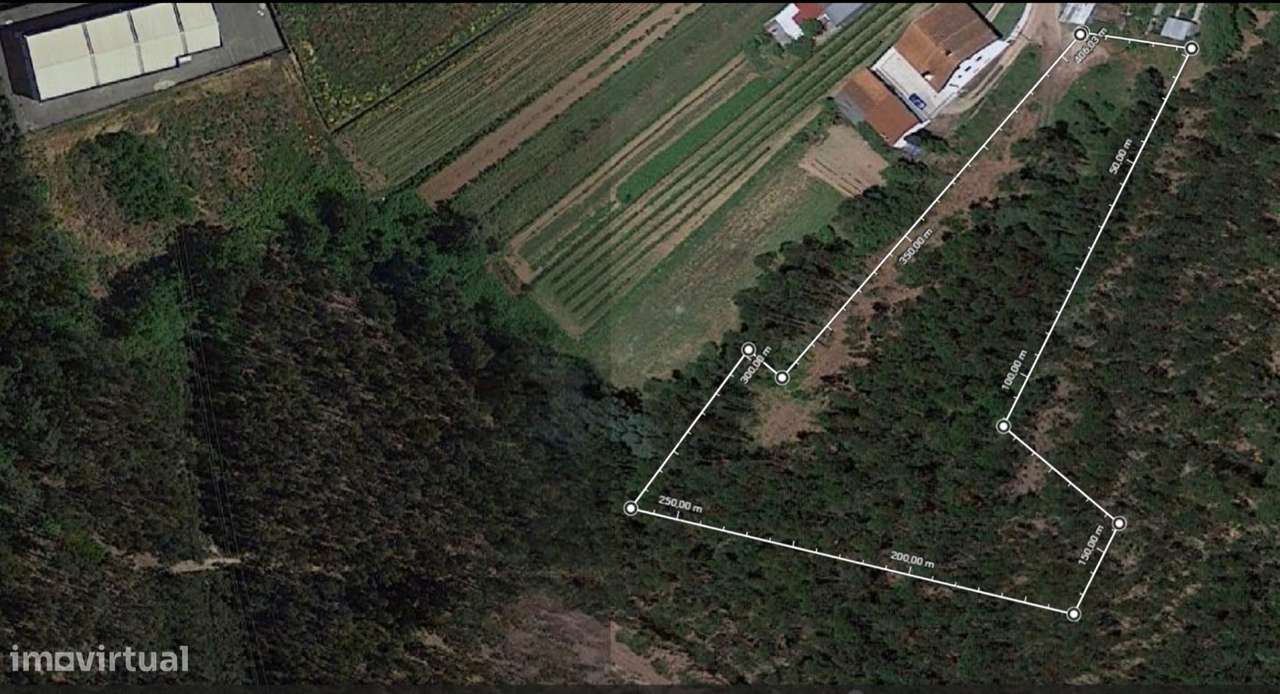 Terreno em Águeda com 7000 m²-0