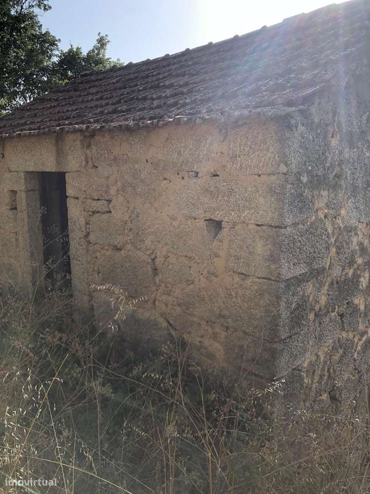 Excelente Quinta na Beira Alta com cerca de 2 Hectares-8