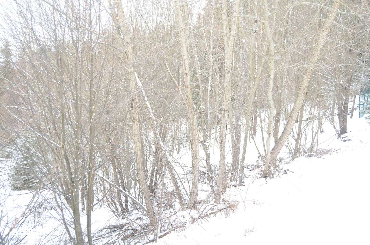 Teren intravilan situat in Predeal-8