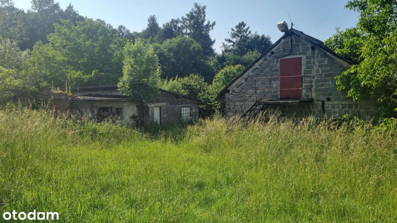 Siedlisko z budynkiem mieszkalnym w Ochabach Małych na sprzedaż.-3
