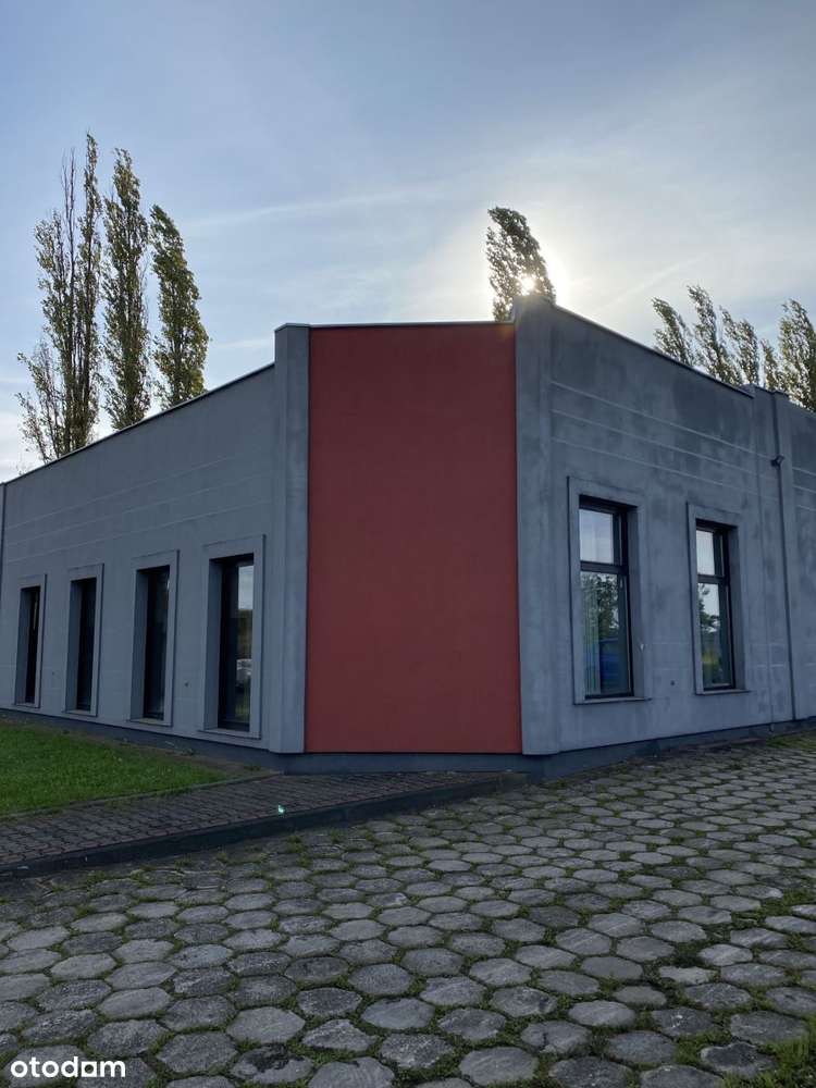 Hala produkcyjna - Pełny obrazek: 4/13