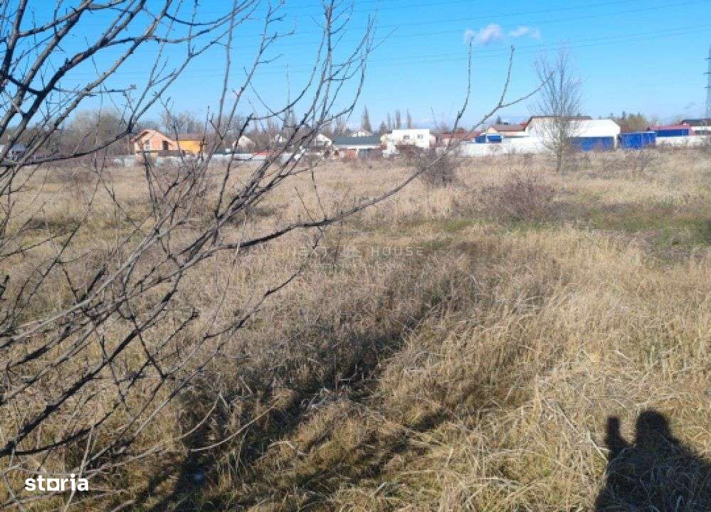 Teren Joita -  Bacu - Dragomiresti-3