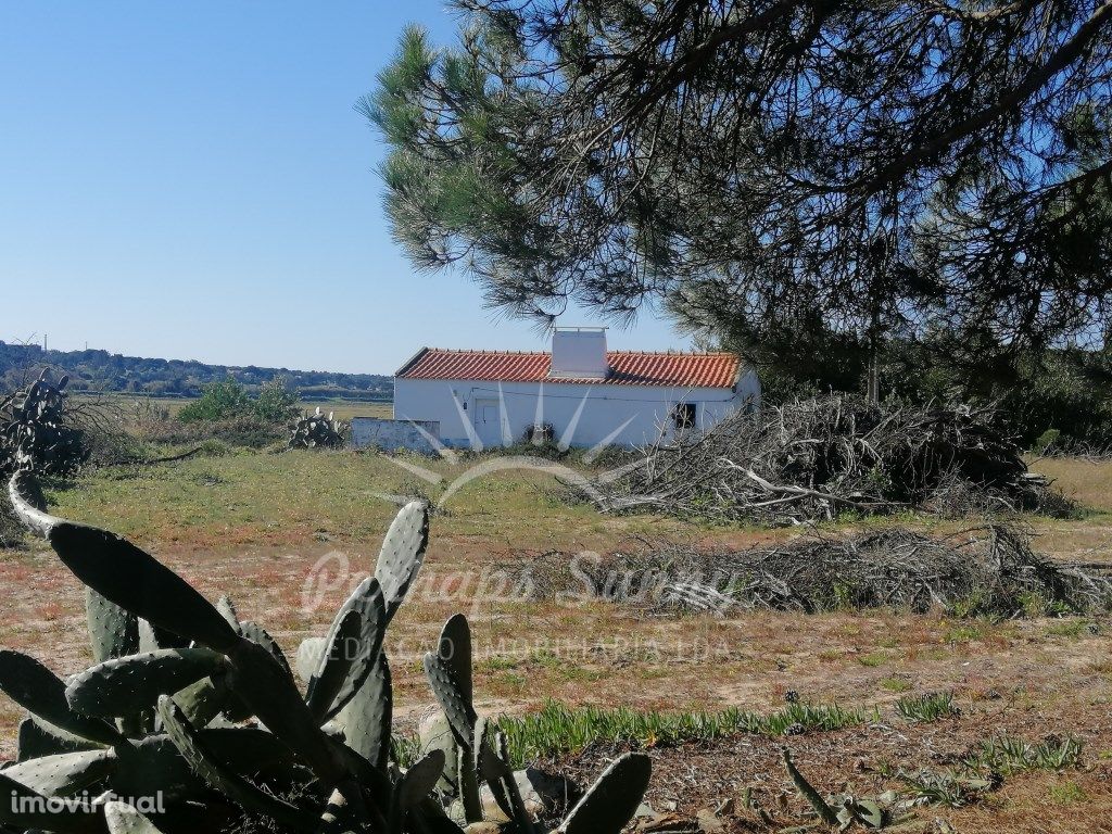 Propriedade na Vigia - Melides