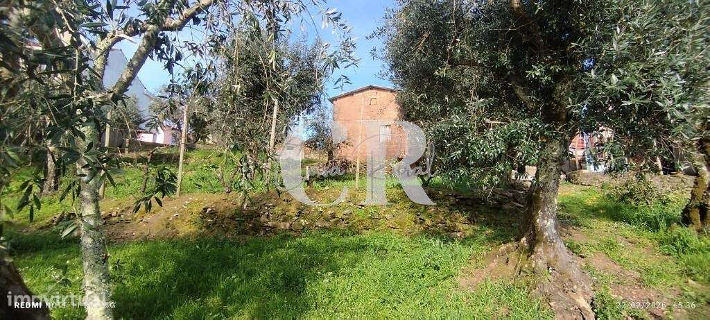 Moradia T3 com vários anexos, terreno e poço-53