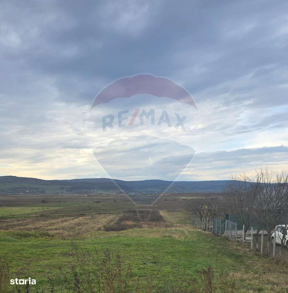 Teren intravilan si extravilan 8,282mp oras Negresti, judetul Vaslui - Imagine principală: 2/8