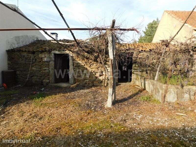 Quintinha / Fundão, Enxames - Grande imagem: 2/8