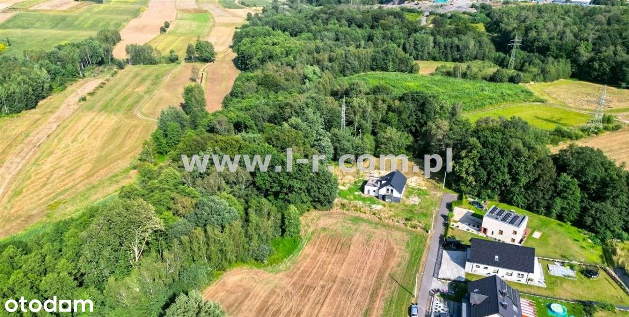 Działka W Zielonej Okolicy Z Własnym Lasem - Pełny obrazek: 2/8