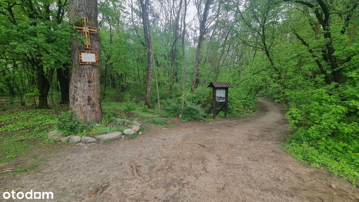 Przestronne 3M obok rezerwatu przyrody , 2023 !-18