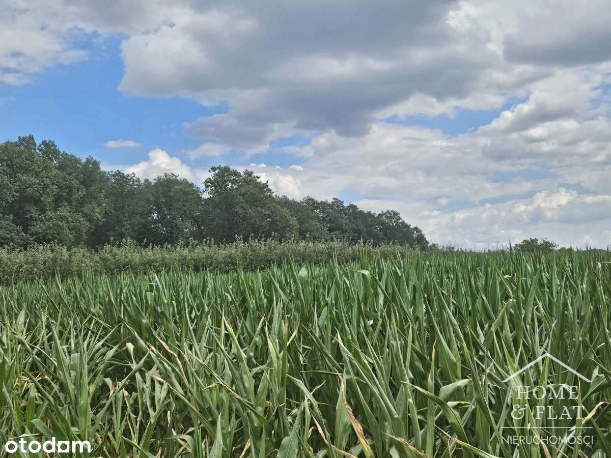 Działka inwestycyjna Nad Jeziorem-17